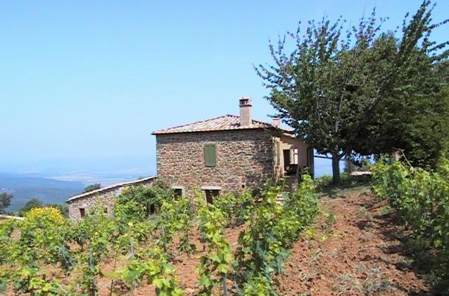 Podere Soccorso Montalcino Zewnętrze zdjęcie