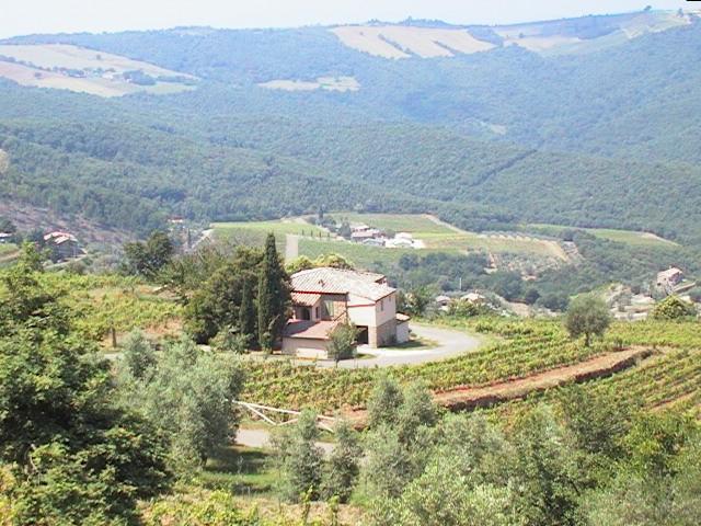 Podere Soccorso Montalcino Zewnętrze zdjęcie